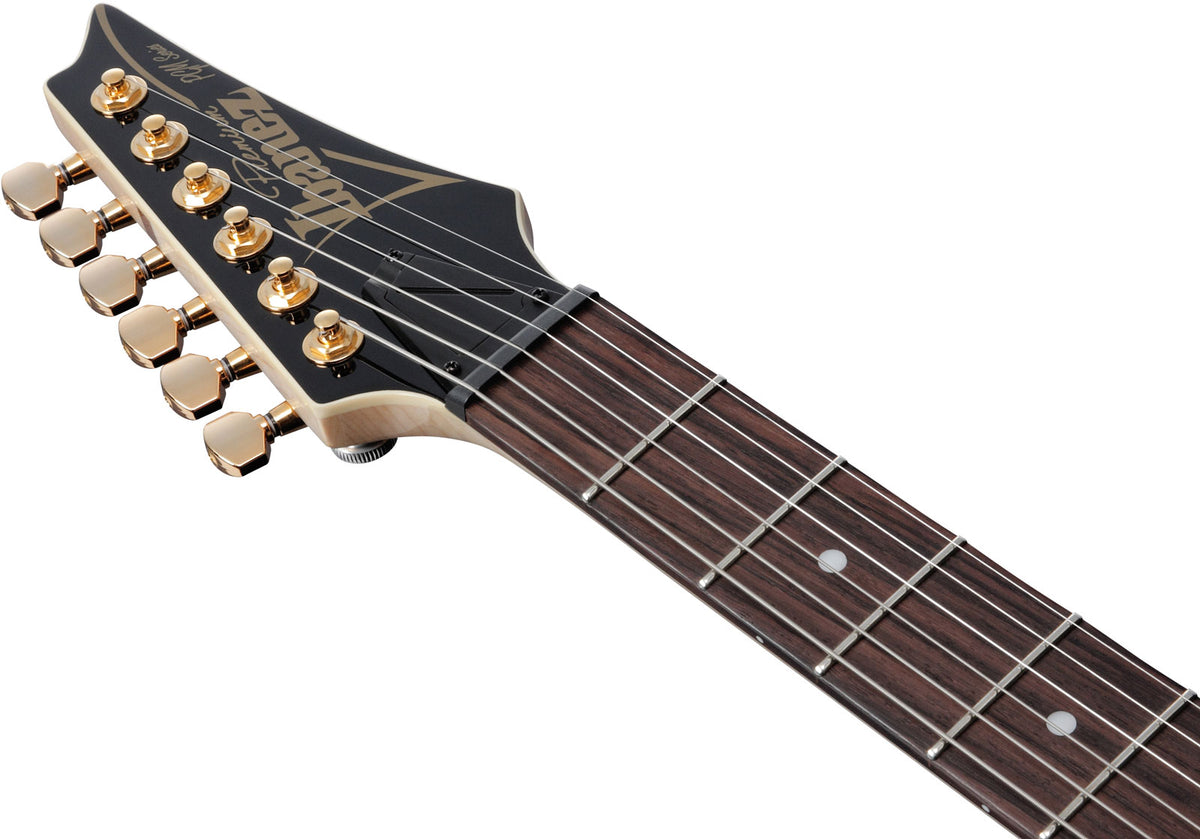 PGM50-BK Schwarz Signature Paul Gilbert Premium