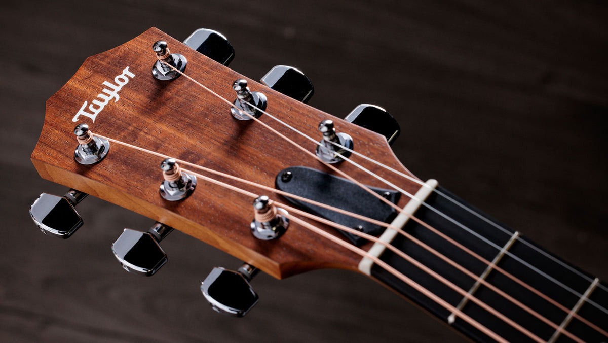 Academy 10e Natur Dreadnought